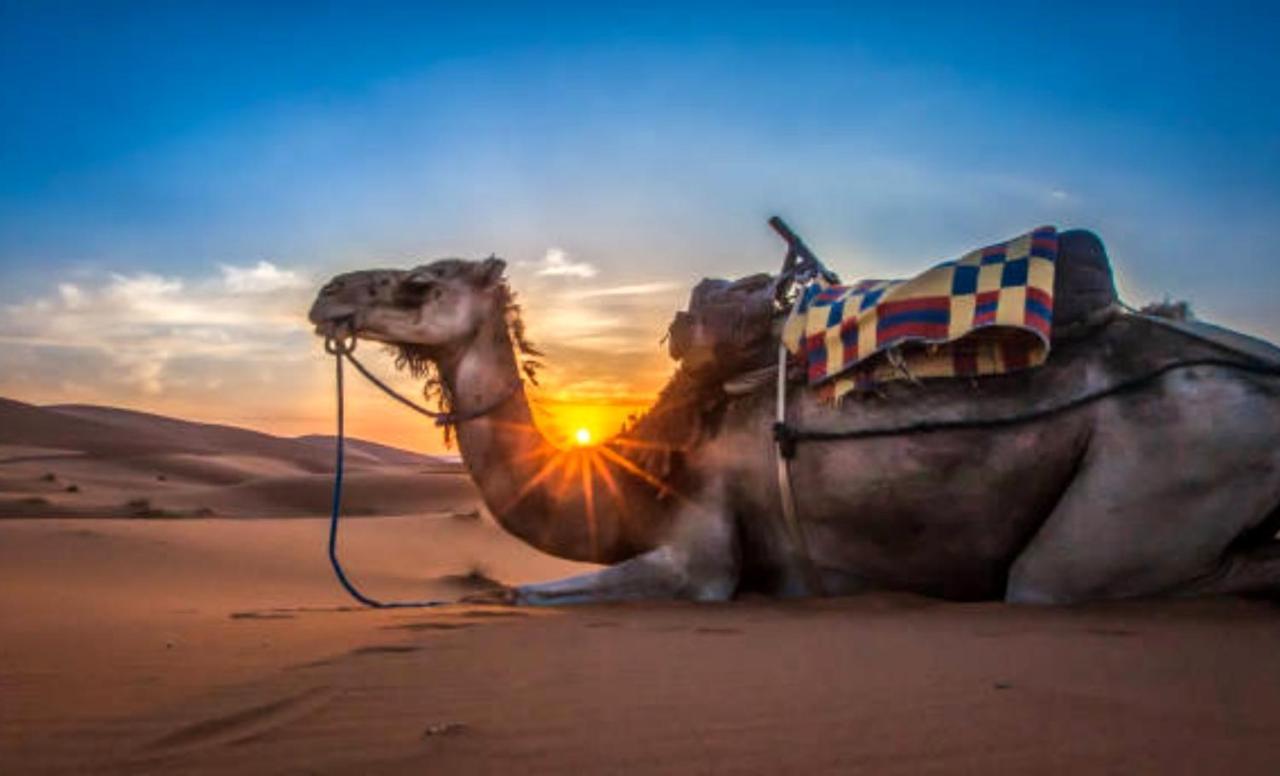 Holiday Desert Camp Мерзуга Экстерьер фото